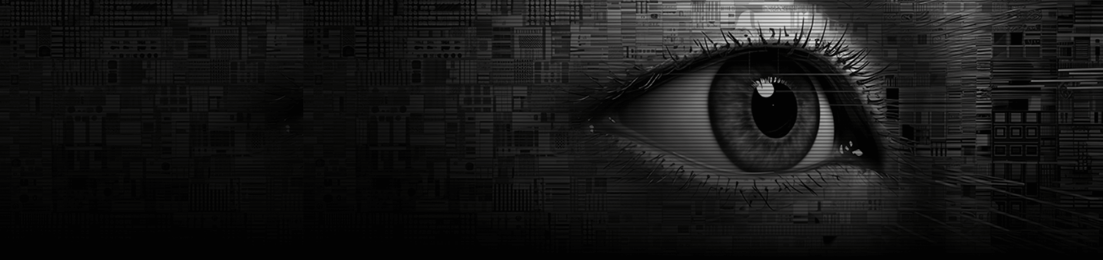 Look into your career options with cybersecurity
