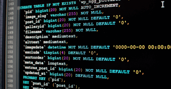 Screen of code showing SQL injection