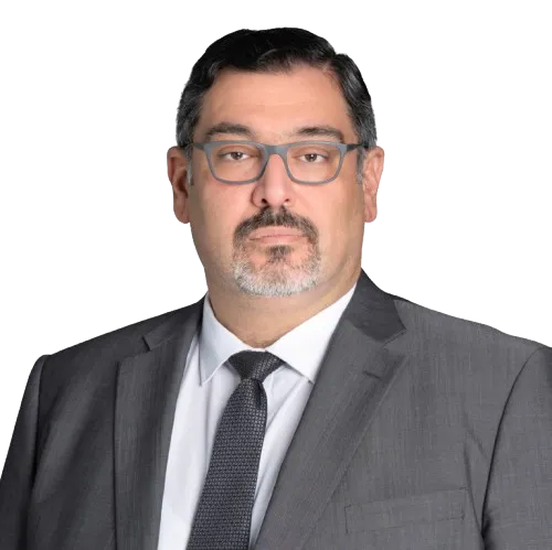 Mohammed M. Alani