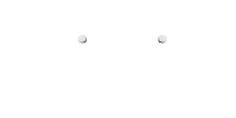 Fidelis Security